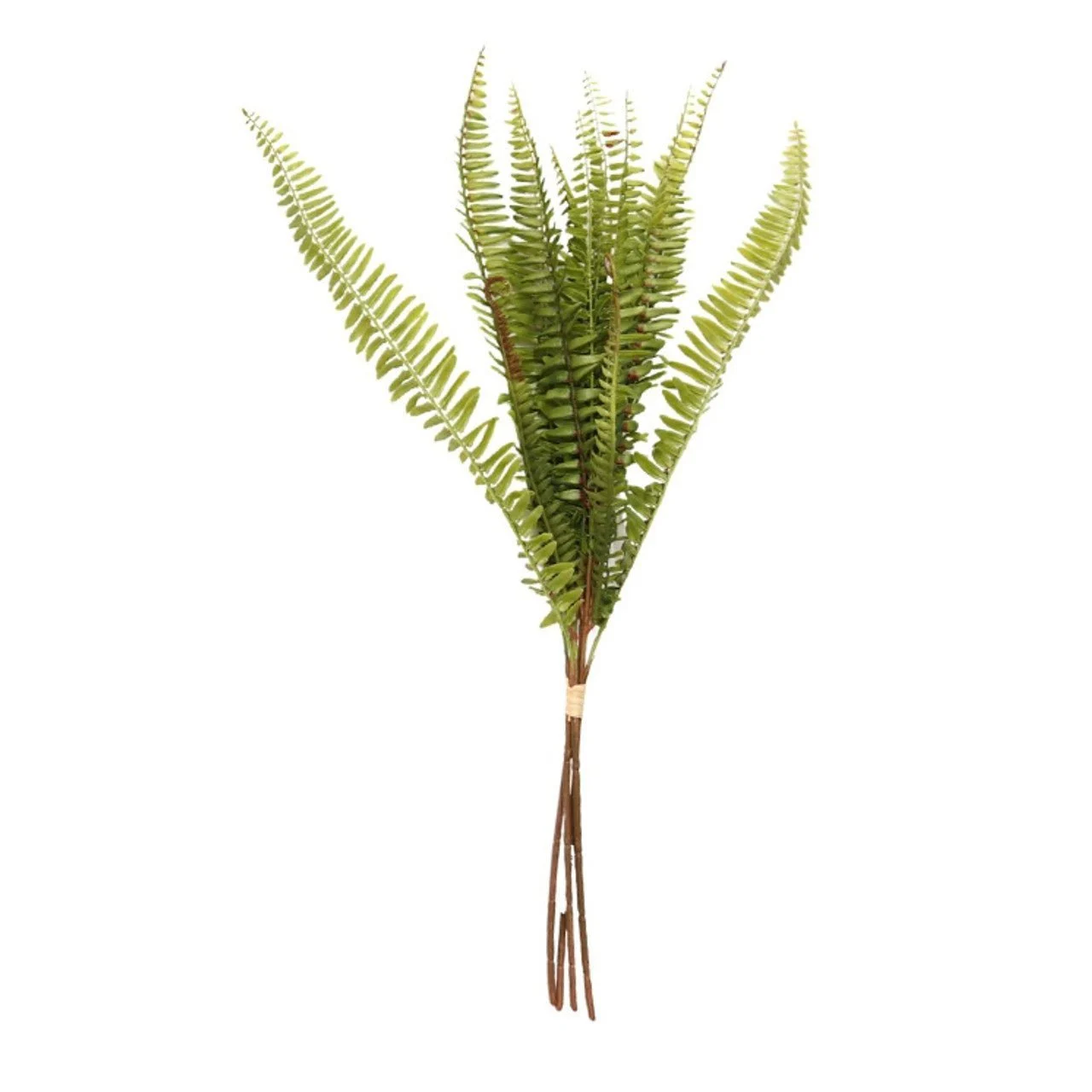 Artificial Leaf - Light Green Narrow Sword Fern