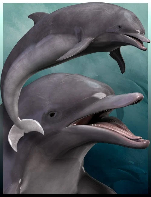 Dolphin