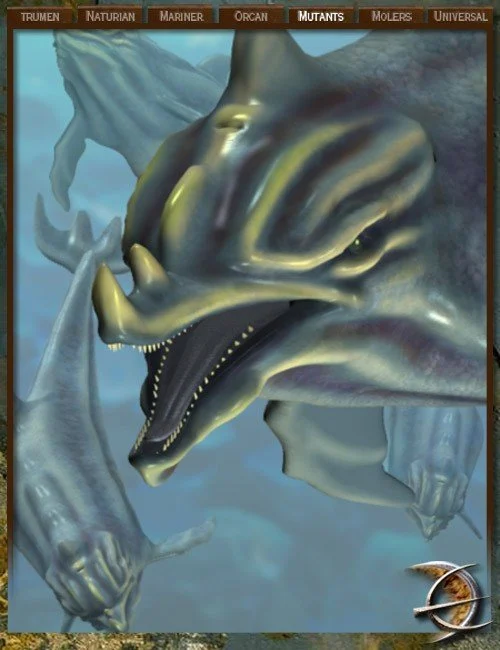 Hell Dolphin