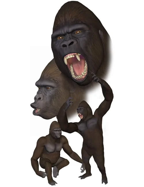 Millennium Gorilla
