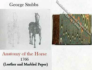 Miniature Book: 'Anatomy of the Horse Book'