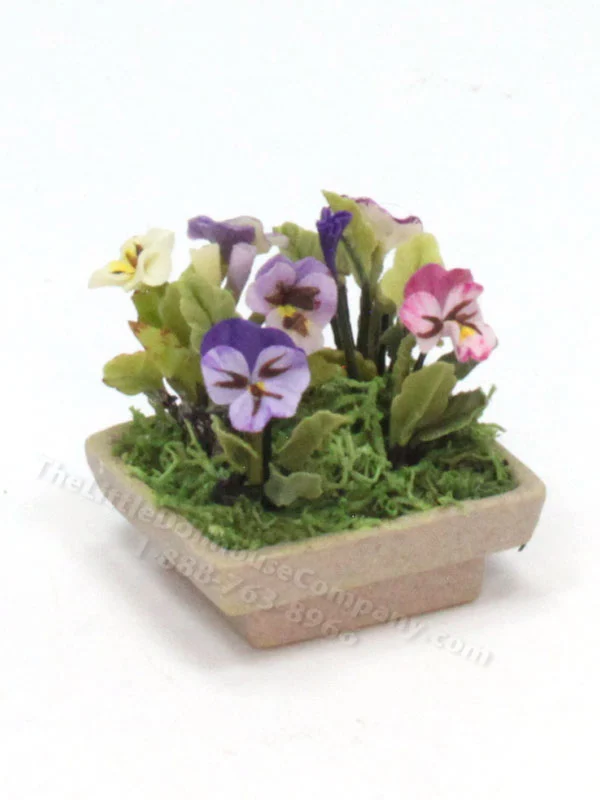 Miniature Pansies in Square Brown Planter