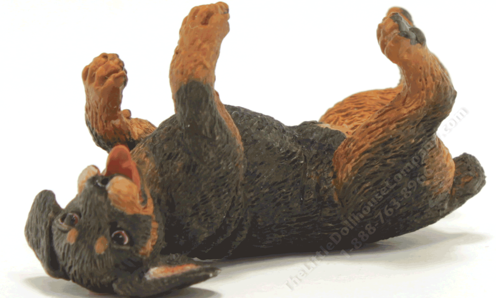 Miniature Rottweiler Puppy by Leslie Frick