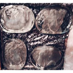 Set 4 Paperweight - heavy Glass Cast Sandblasted Projected in 3D to front