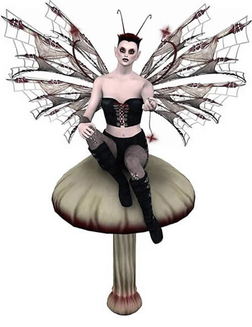 SS Faery Rapture